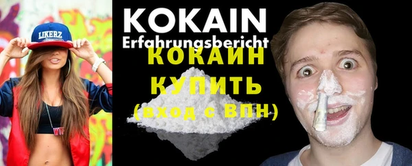 бошки Бронницы