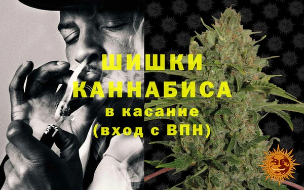 бошки Бронницы