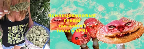 эйфоретик Богданович