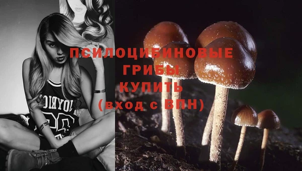 марки lsd Богородицк