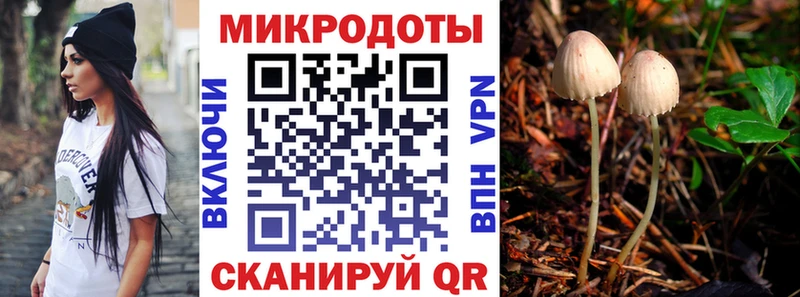 гидра рабочий сайт  Ядрин  Псилоцибиновые грибы мухоморы 
